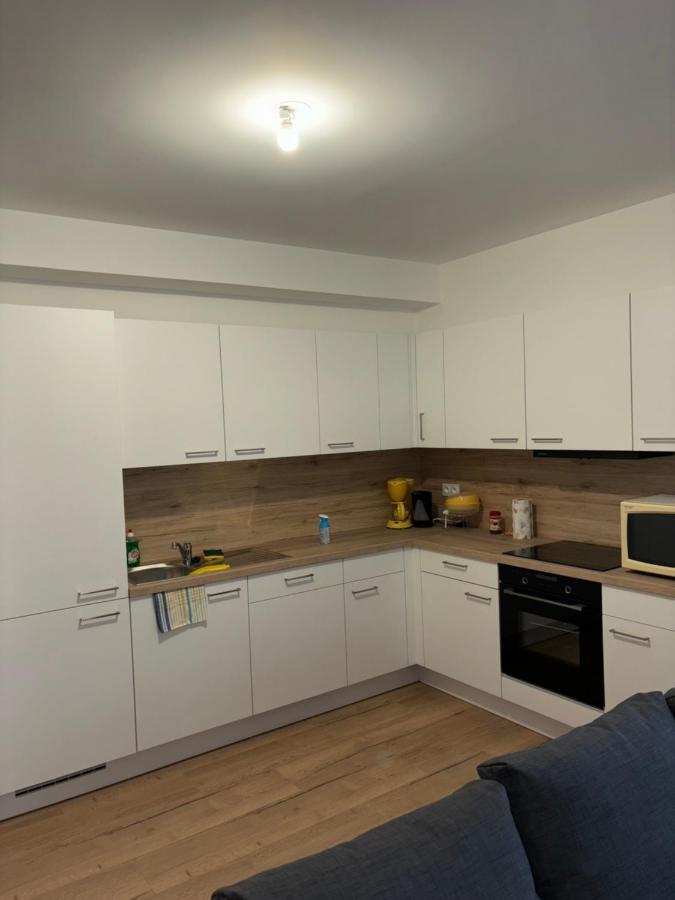 Appartement Duplex 6 Pers Neuf + Parking à Mulhouse Extérieur photo